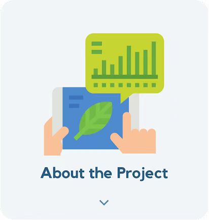 About the Project
